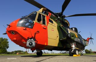 Seaking 40eme